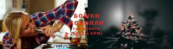 Альфа ПВП Бородино