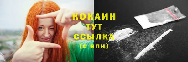Альфа ПВП Бородино