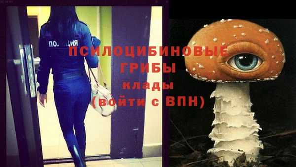 Альфа ПВП Бородино