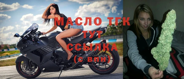 Альфа ПВП Бородино