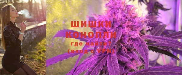 крисы Бронницы